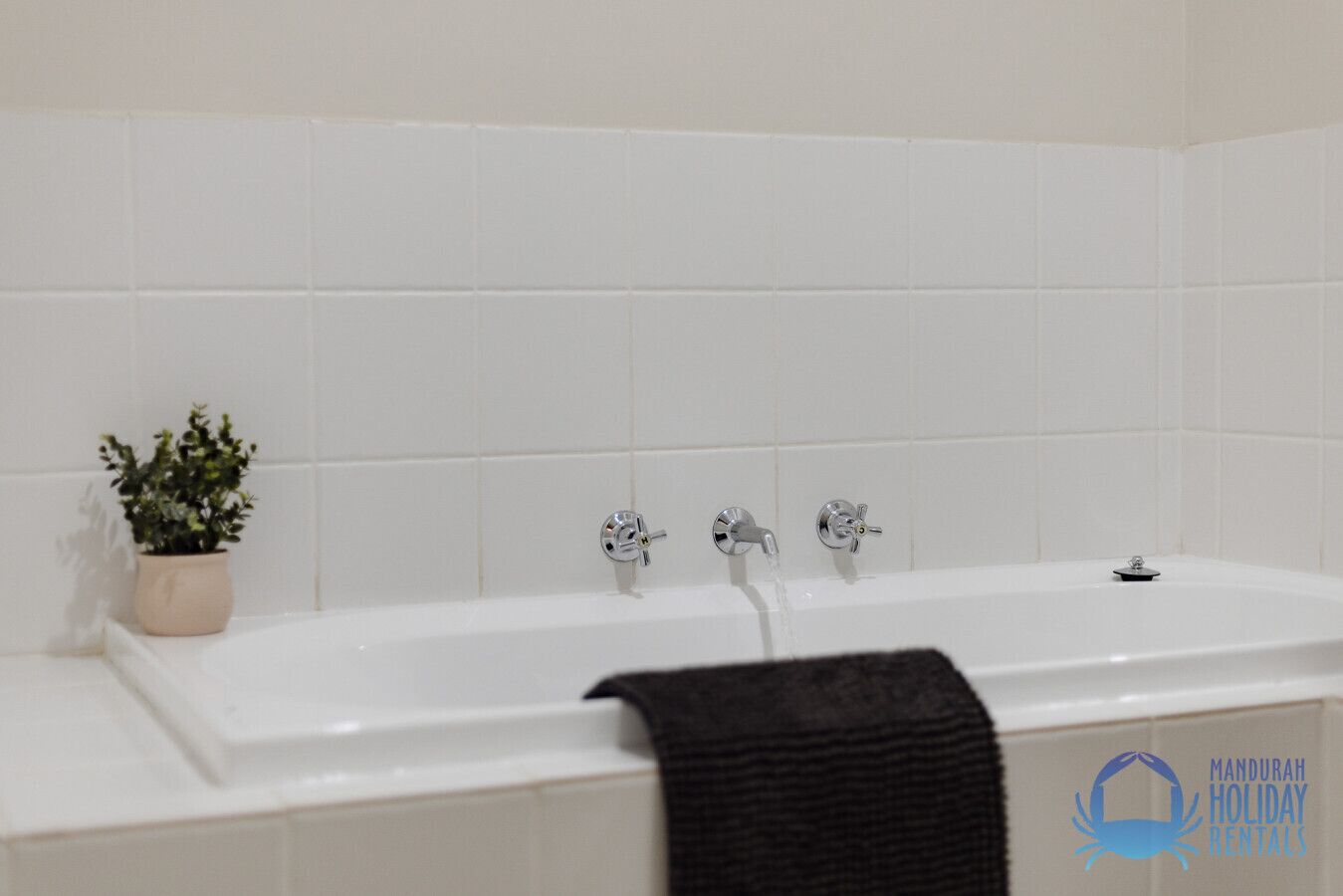 Une salle de bain avec une baignoire blanche, deux robinets et une plante en pot.