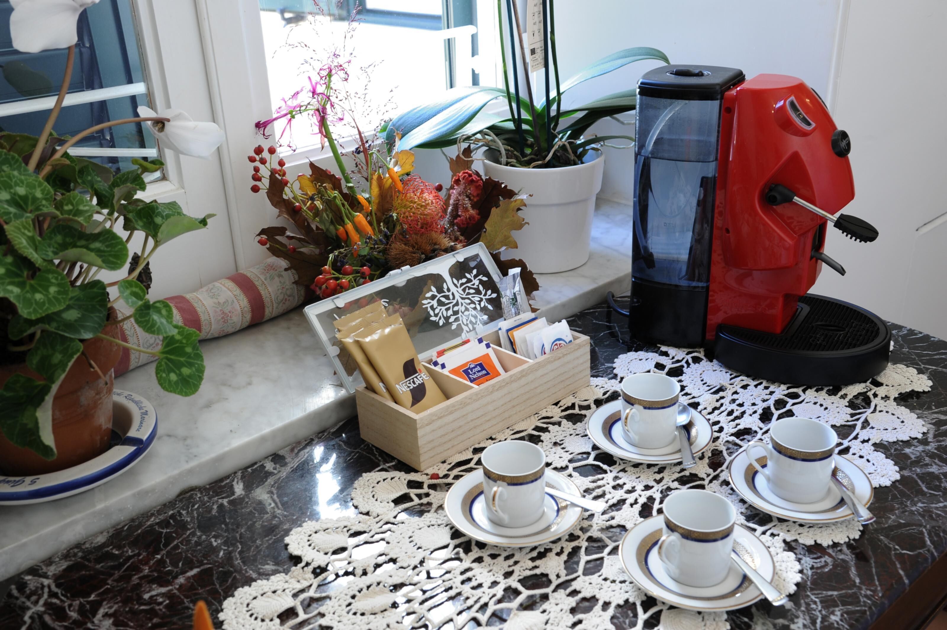 A kitchen counter with a coffee maker, a tray of cups, a coffee bag, and a decorative plant.