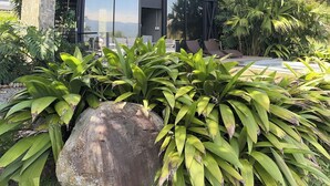 A modern house with a glass facade, a stone pillar, and a large rock in the foreground. - Landscape Suite (Cerritos)