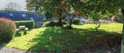 テラス / パティオ