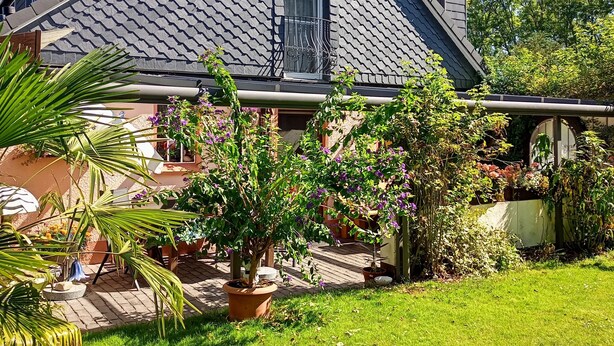 Una casa con techo inclinado, un pequeño balcón con ventana, y un jardín con diversas plantas y flores.