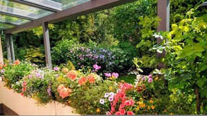 Un invernadero con diversas plantas florecientes y techo de cristal.