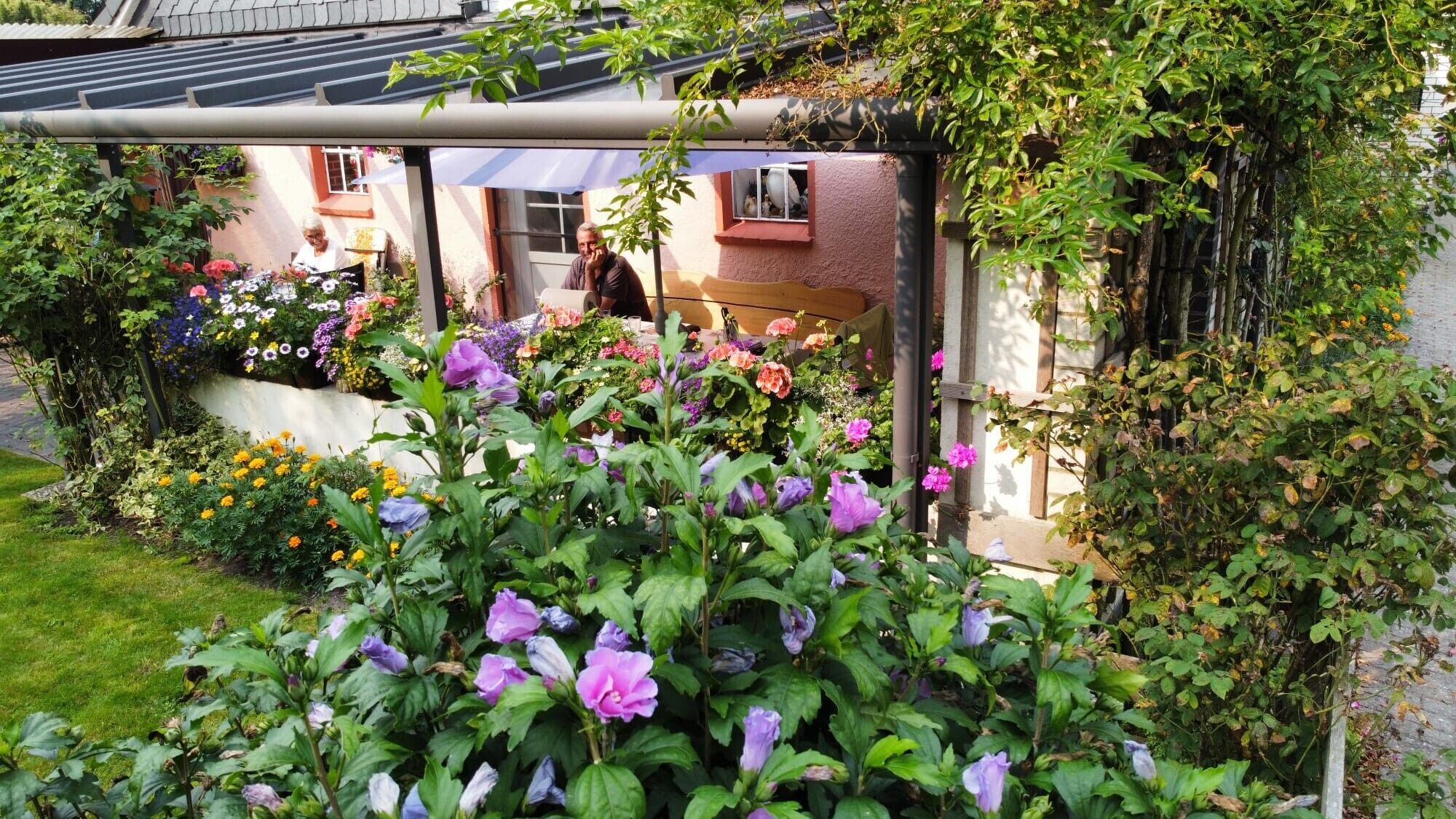 Ein Garten mit verschiedenen Blumen und einer Pergola.