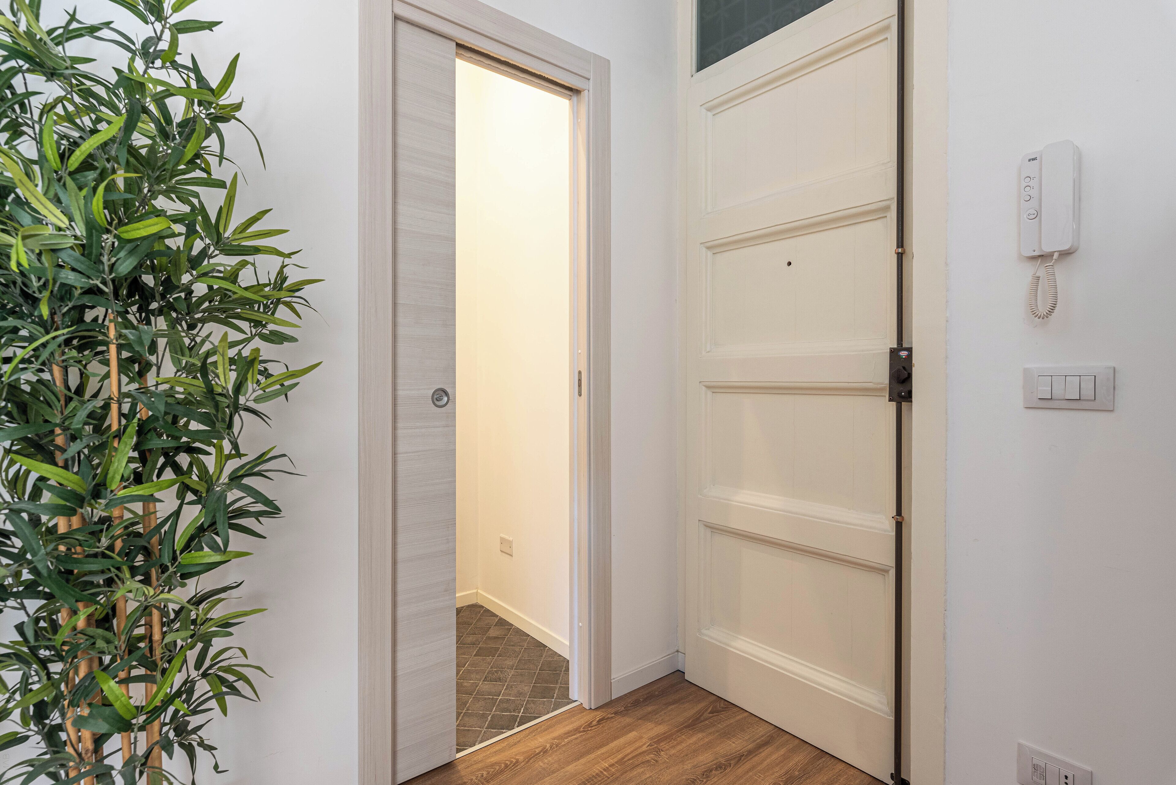 A hallway with a wooden floor, a white door, and a plant on the left.