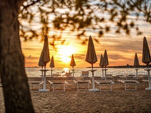 A beach with rows of sun loungers and umbrellas, a sunset in the background, and a tree in the foreground.