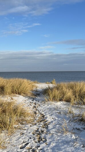 A coastal path with dry grass and snow patches, leading to the sea under a clear sky.