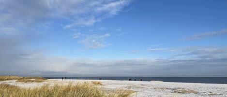 بالقرب من الشاطئ