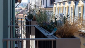 施設の敷地