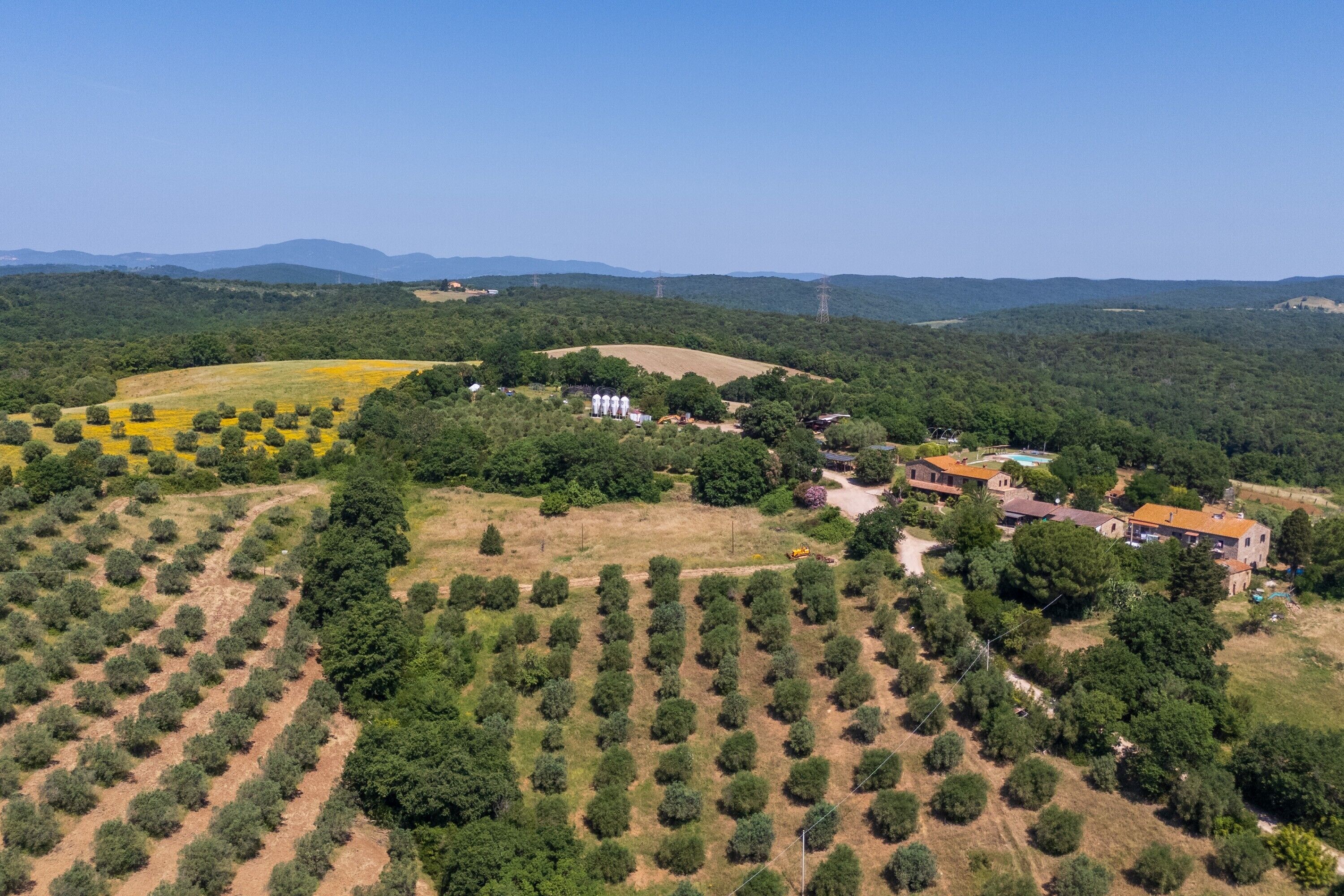 Eine Vogelperspektive auf eine ländliche Landschaft mit Olivenhainen, einer Ansammlung von Gebäuden und sanften Hügeln im Hintergrund.