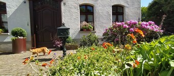 Holiday Apartment 'Sauerland Burgfenster' with Mountain View, Shared Terrace and Wi-Fi