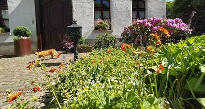 Ferienwohnung 'Sauerland Burgfenster' mit Bergblick, gemeinsamer Terrasse und WLAN