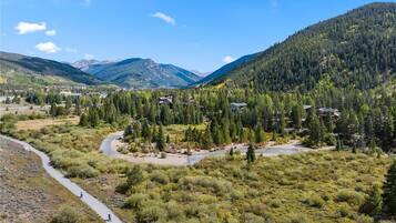 A mountainous landscape with a winding road, dense forest, and scattered buildings.