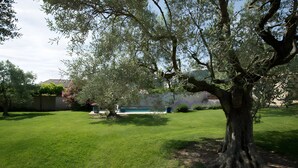 A backyard with a swimming pool, a large tree, and a well-maintained lawn. - Maison l'Oustalette de Mau-bé with Pool in the Luberon (Maubec)