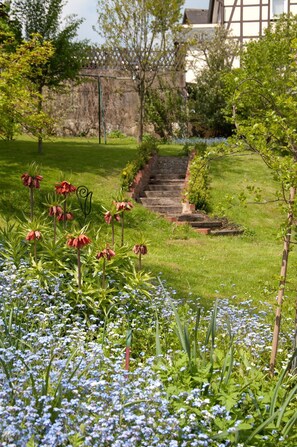 Terrain de l’hébergement 