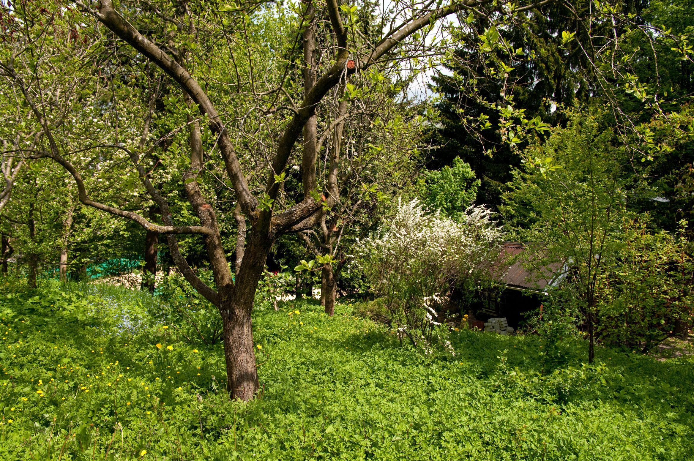 المنطقة المحيطة بالمنشأة