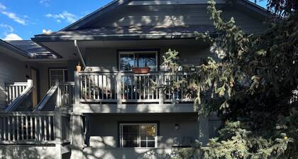 Fully-renovated 2BR condo in delightful Basalt