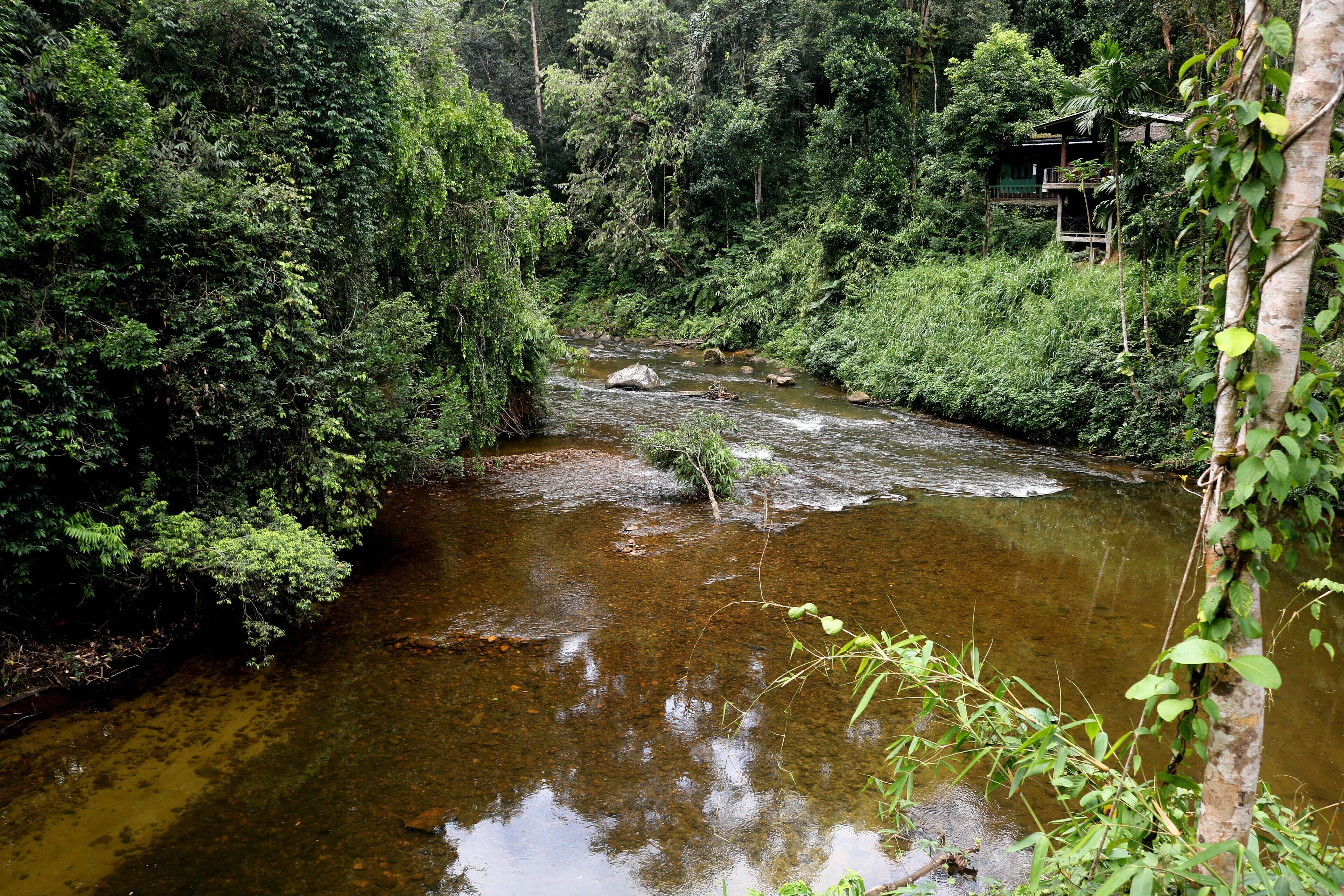 Standard Double or Twin Room, River View