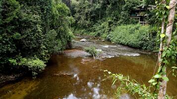 Standard Double or Twin Room, River View