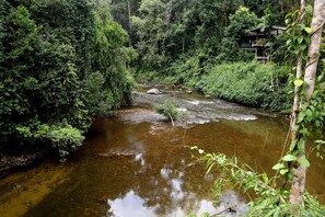 Standard Double or Twin Room, River View