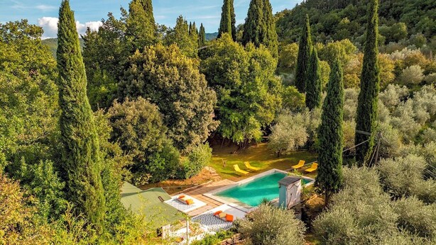 A pool area surrounded by tall trees, with a clear view of the sky and a grassy area with lounge chairs.