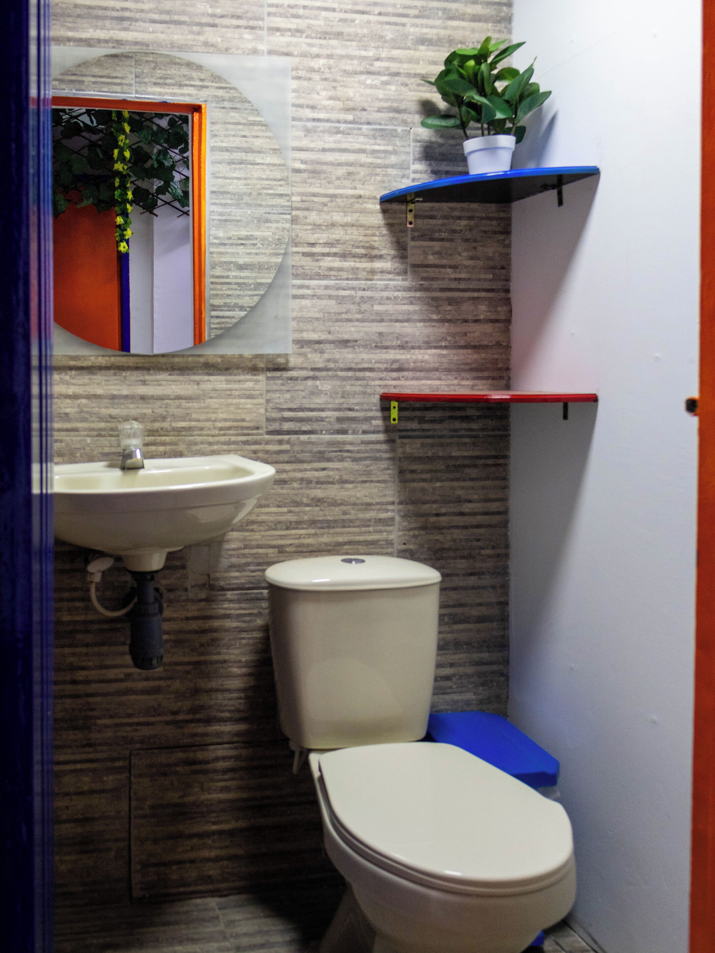 Un baño pequeño con un lavamanos blanco, un inodoro y un estante azul con una planta en maceta.
