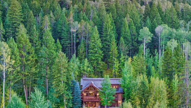 Una cabaña de troncos rodeada de un bosque tupido.
