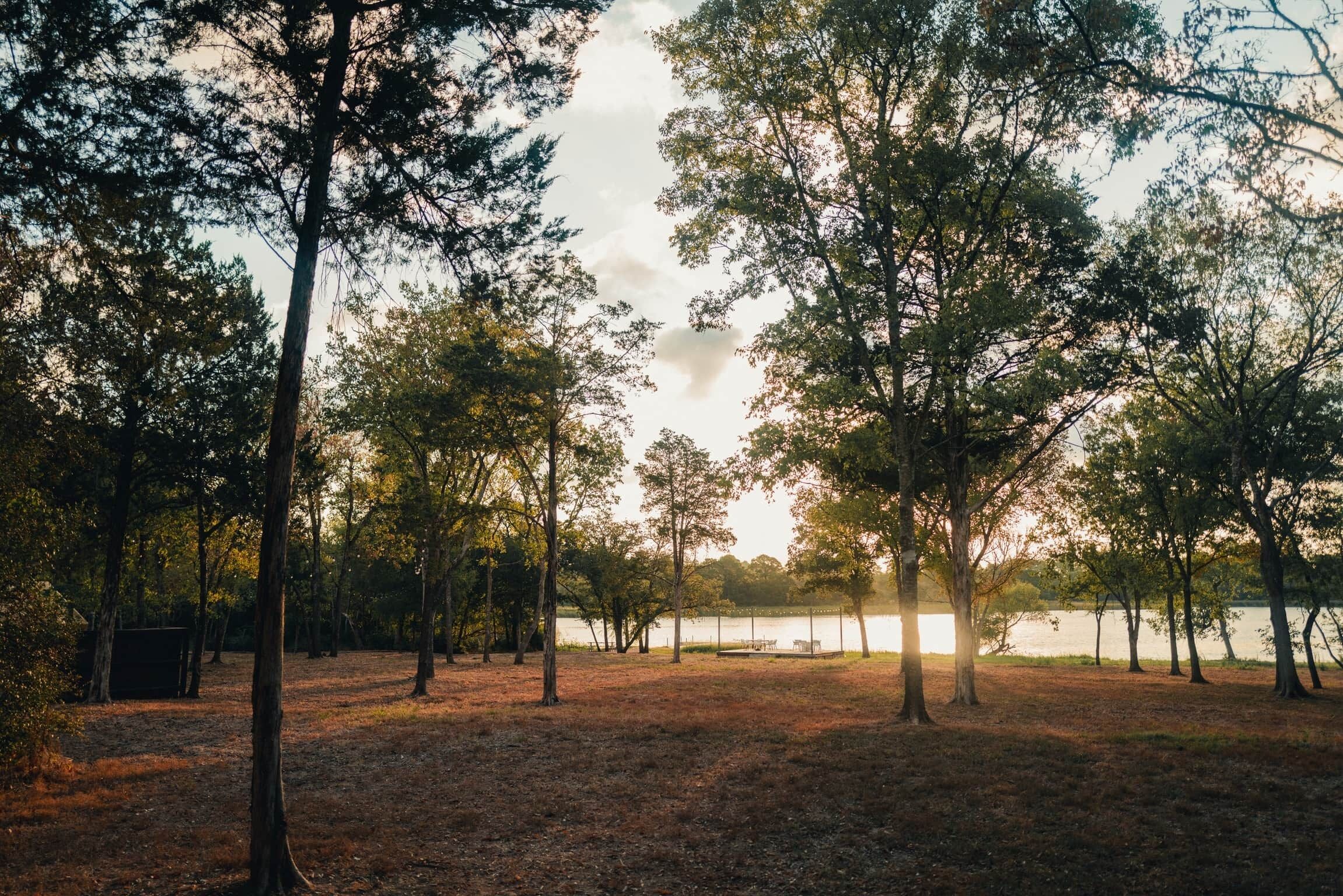 Un parque con árboles, un banco y un cuerpo de agua.