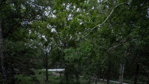 A wooden cabin with a hot tub, outdoor seating, and string lights. - Zen Den Cabin (Houston) (Coldspring)