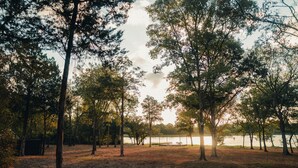 Ein Park mit Bäumen und einer Bank in der Nähe eines Gewässers.