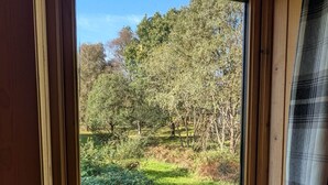 Ein Fenster mit Blick auf eine grüne Landschaft und Bäume.