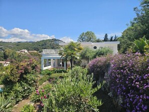 Property grounds - Villa VISTA - 4 bedrooms, swimming pool, sea view (PORTICCIO)