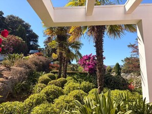 A garden with various plants and a white structure.