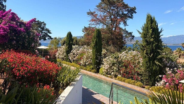 A pool area with a view of the sea and mountains, surrounded by various plants and trees. - Villa VISTA - 4 bedrooms, swimming pool, sea view (PORTICCIO)