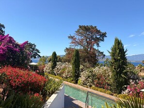 Ein Poolbereich mit Blick auf das Meer und die Berge, umgeben von verschiedenen Pflanzen und Bäumen.