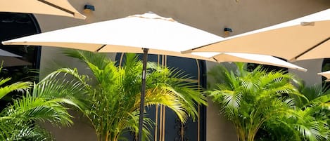 An outdoor seating area with a table and chairs, surrounded by potted plants and umbrellas, in front of a building with the sign 'SEVA NEGRA'.