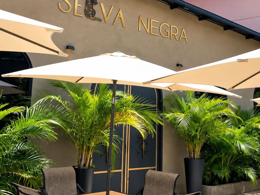 An outdoor seating area with a table and chairs, surrounded by potted plants and umbrellas, in front of a building with the sign 'SEVA NEGRA'.
