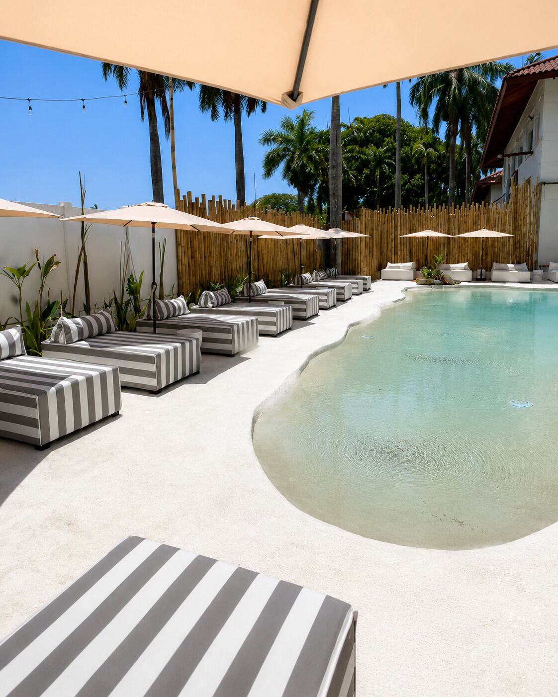 Zona junto a la piscina con sillas largas a rayas y sombrillas, rodeada por una valla de bambú y palmeras.