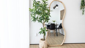 Une pièce avec un grand miroir, une plante en pot, une table à manger avec des chaises et une plante suspendue.