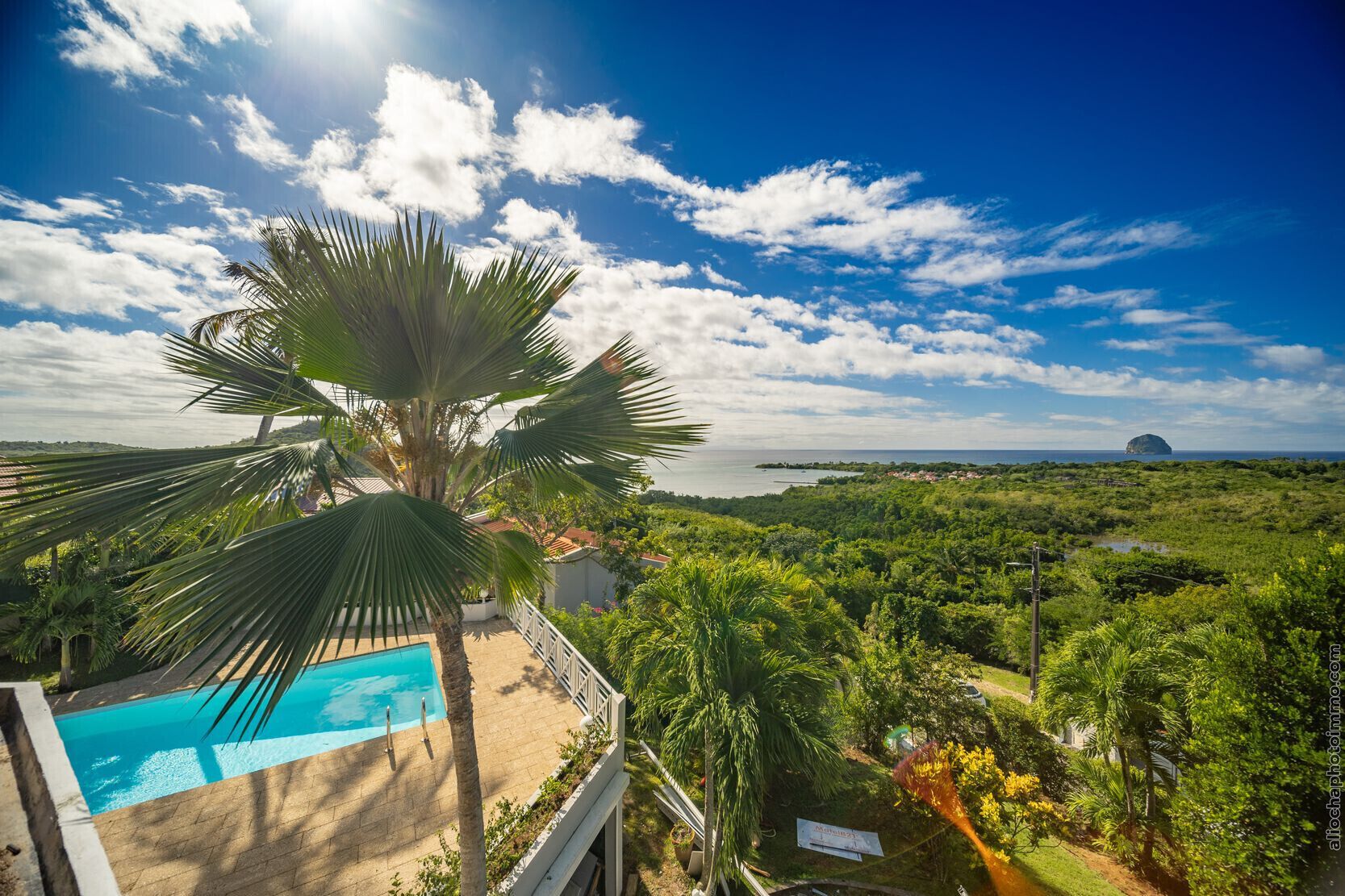 Vista da piscina com uma palmeira, céu claro e paisagem costeira ao longe.