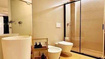 Shower, hair dryer, bidet, towels