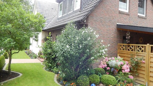 Eksteriør