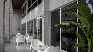 Un pasillo con sillas y mesas blancas, ventanas amplias y plantas en macetas.