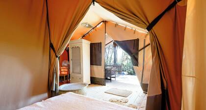 Wonderfull Safaritents in the vineyard, close to the coast