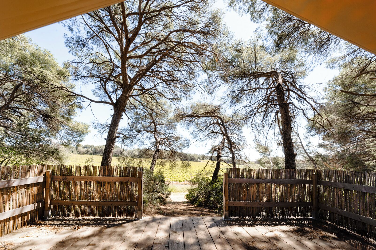 Enceinte de l’hébergement