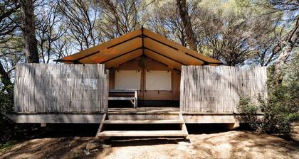 Wonderfull Safaritents in the vineyard, close to the coast