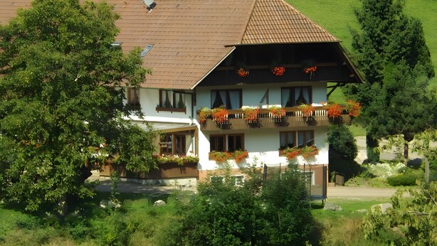 A two-story building with a sloped roof, a balcony with flower boxes, and a visible satellite dish. - 'Elzblick' Apartment with Shared Pool, Garden, and Wi-Fi (Elzach)