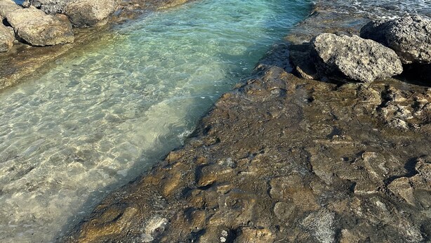 Une côte rocheuse bordée d’une eau claire, avec une vue dégagée sur la mer au loin.