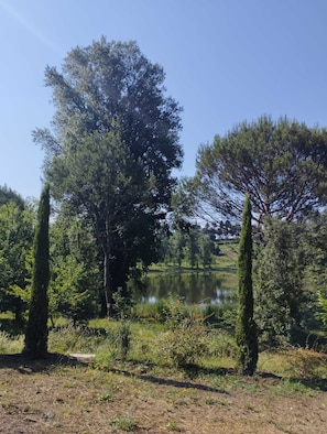 A natural landscape with a pond, trees, and grassy areas. - Apartment 1 with Lake View (Alvignano)