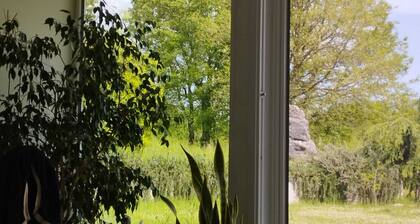 Apartment 1 with Lake View