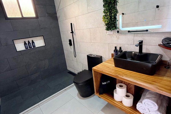 Shower, hair dryer, slippers, bidet